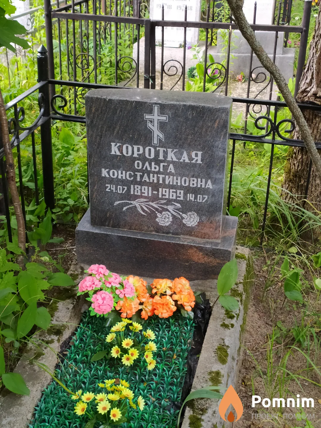 Короткая Ольга Константиновна