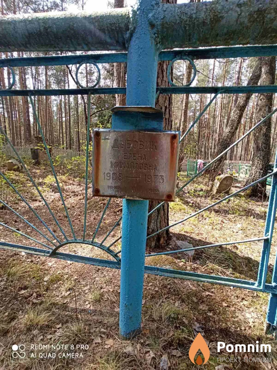 Дубовик Елена Михайловна