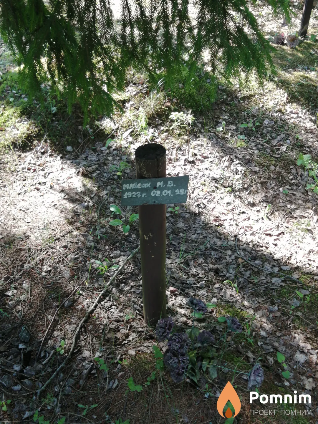 Майсак М. В.