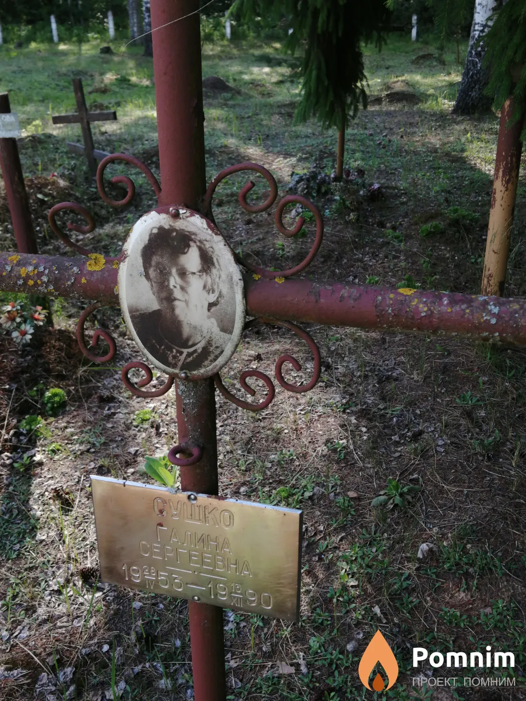 Сушко Галина Сергеевна
