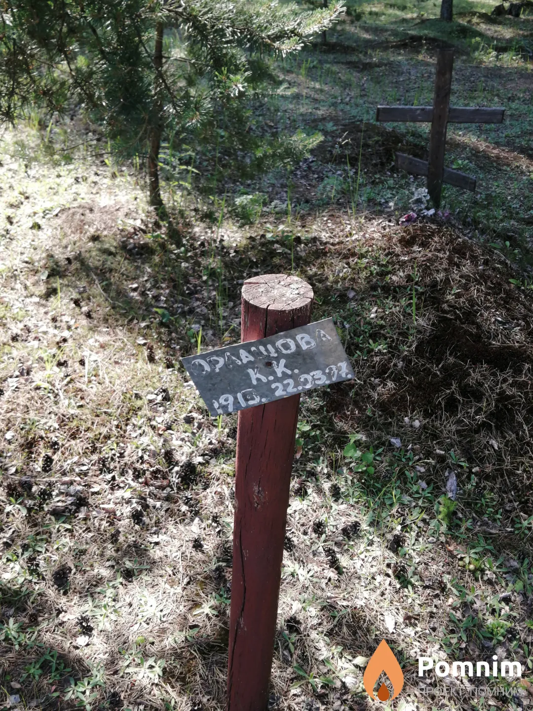 Орлашова К. К.
