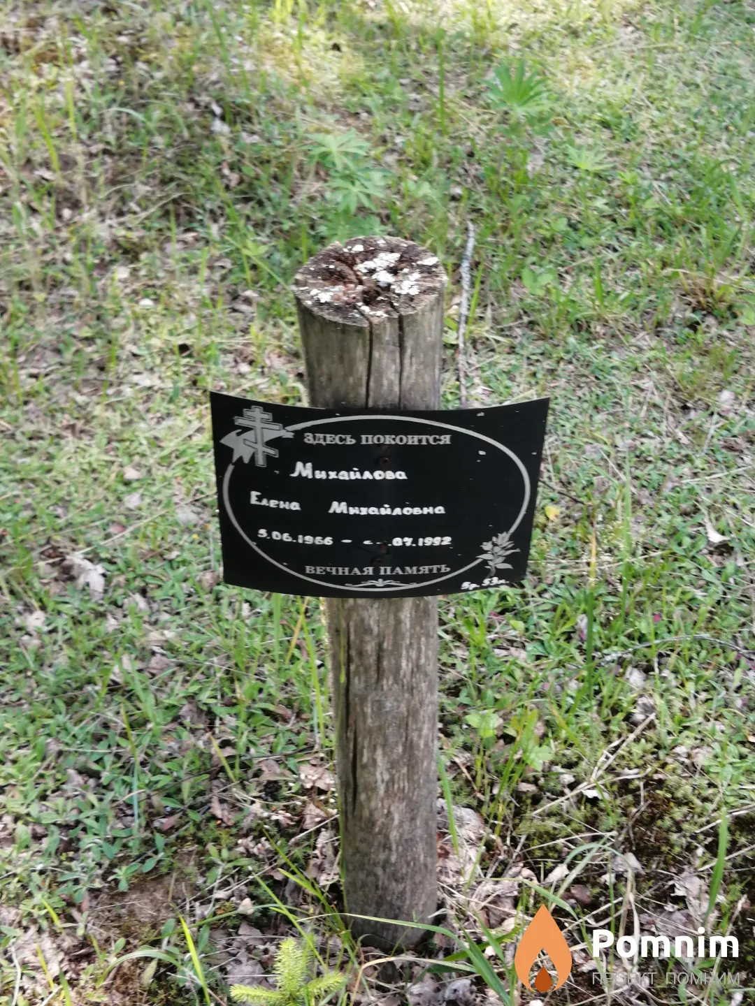 Михайлова Елена Михайловна