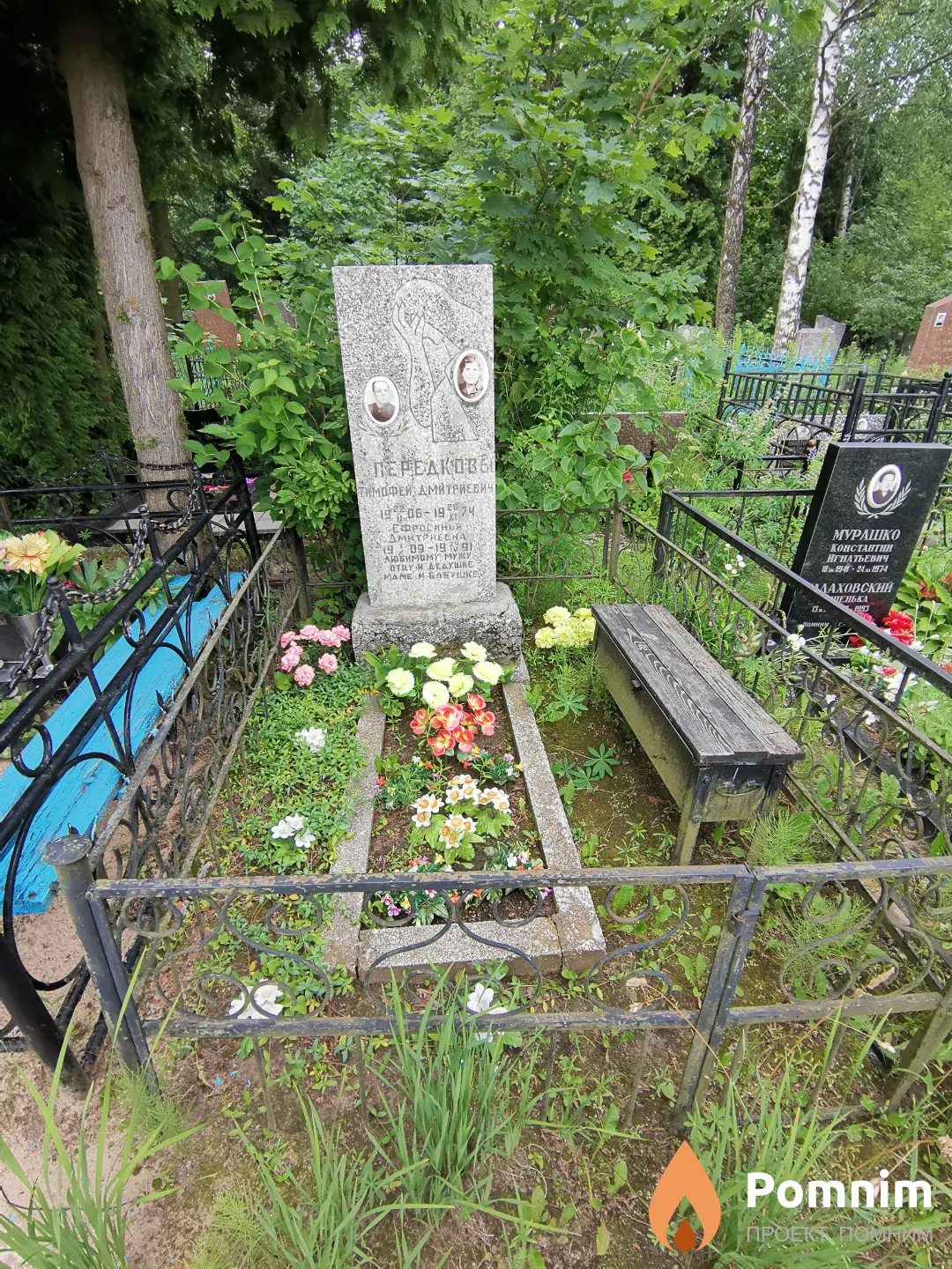 Передкова Ефросинья Дмитриевна