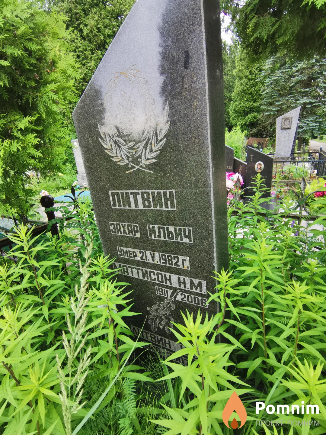 Литвин И. З.
