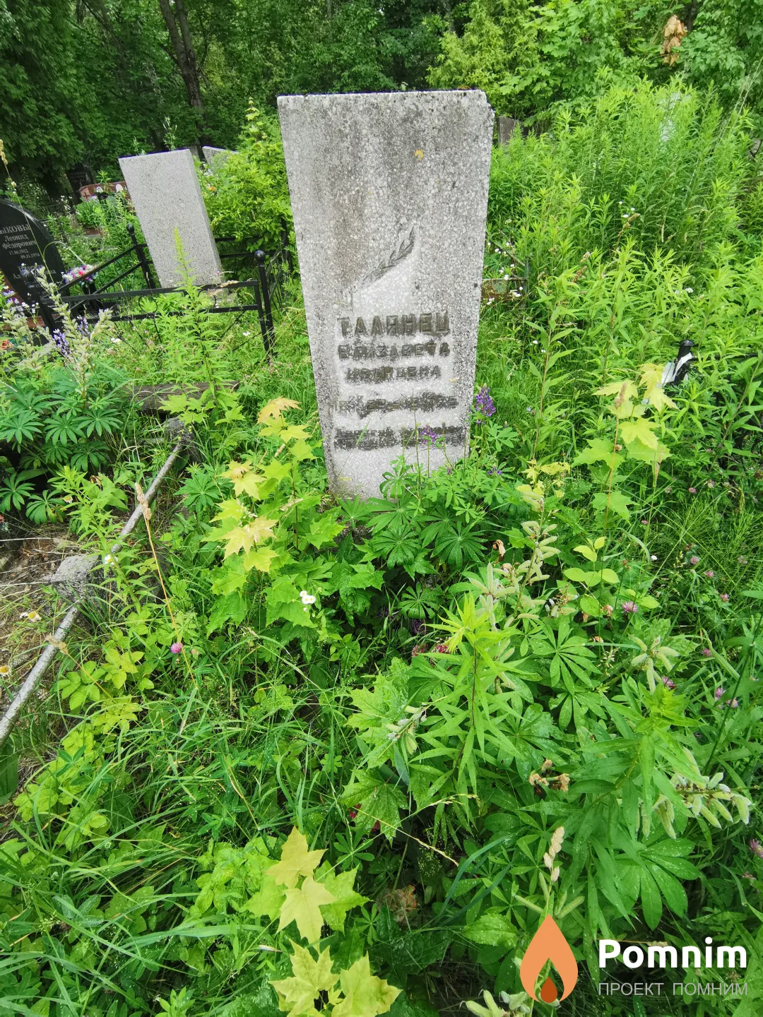 Талянец Елизавета Ивановна