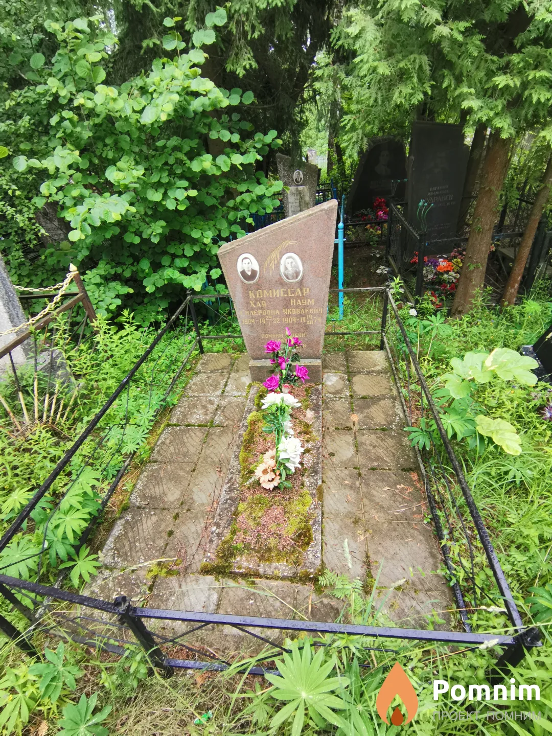 Комиссар Хая Гилеровна