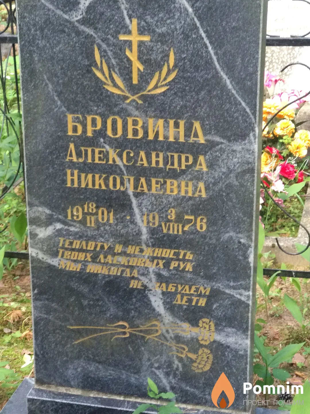 Бровина Александра Николаевна