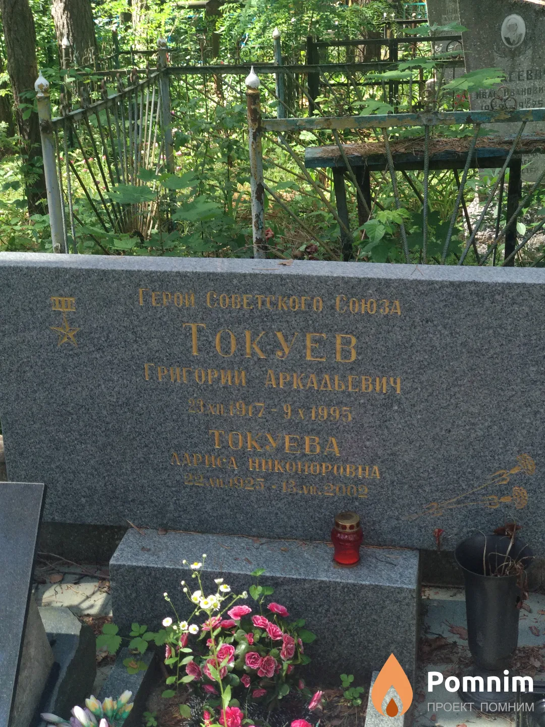 Токуева Лариса Никоноровна