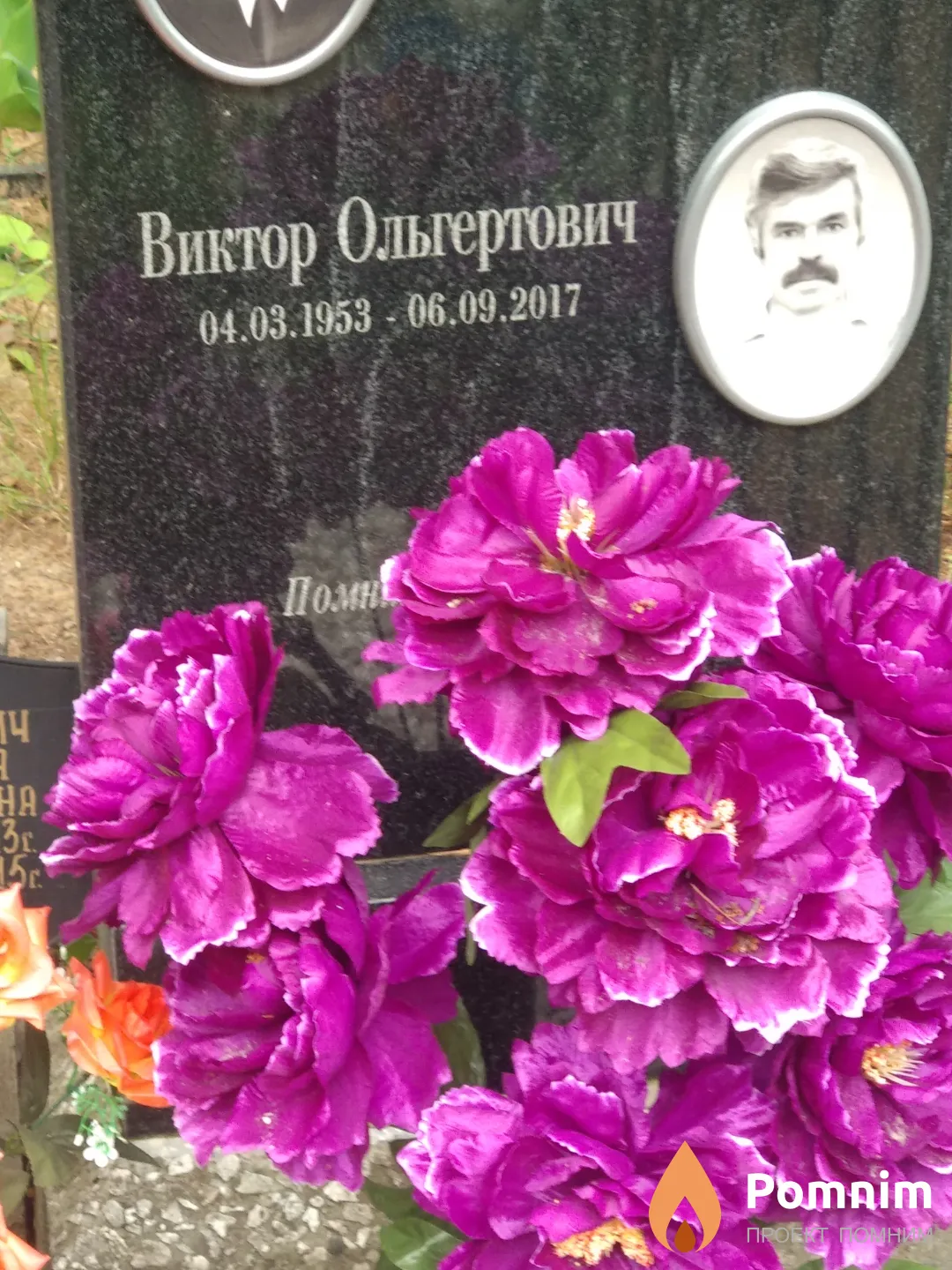 Цеханович Татьяна Михайловна