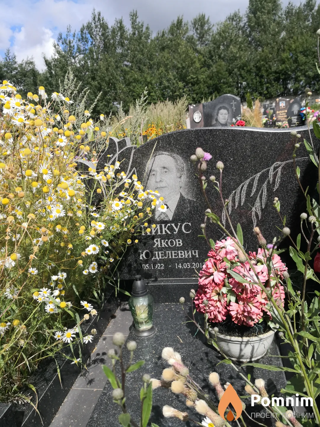 Пикус Яков Юделевич