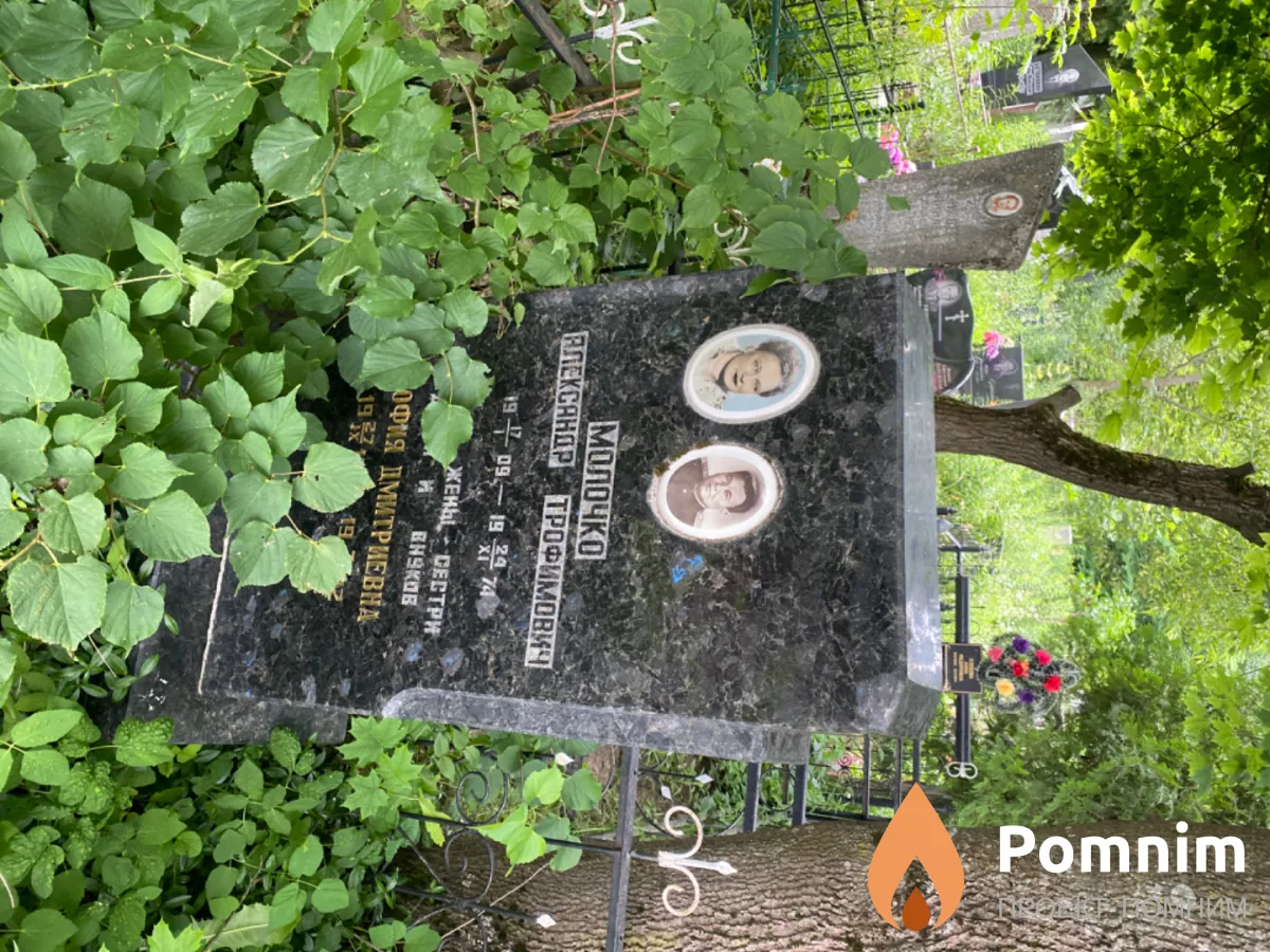 Молочко София Дмитриевна
