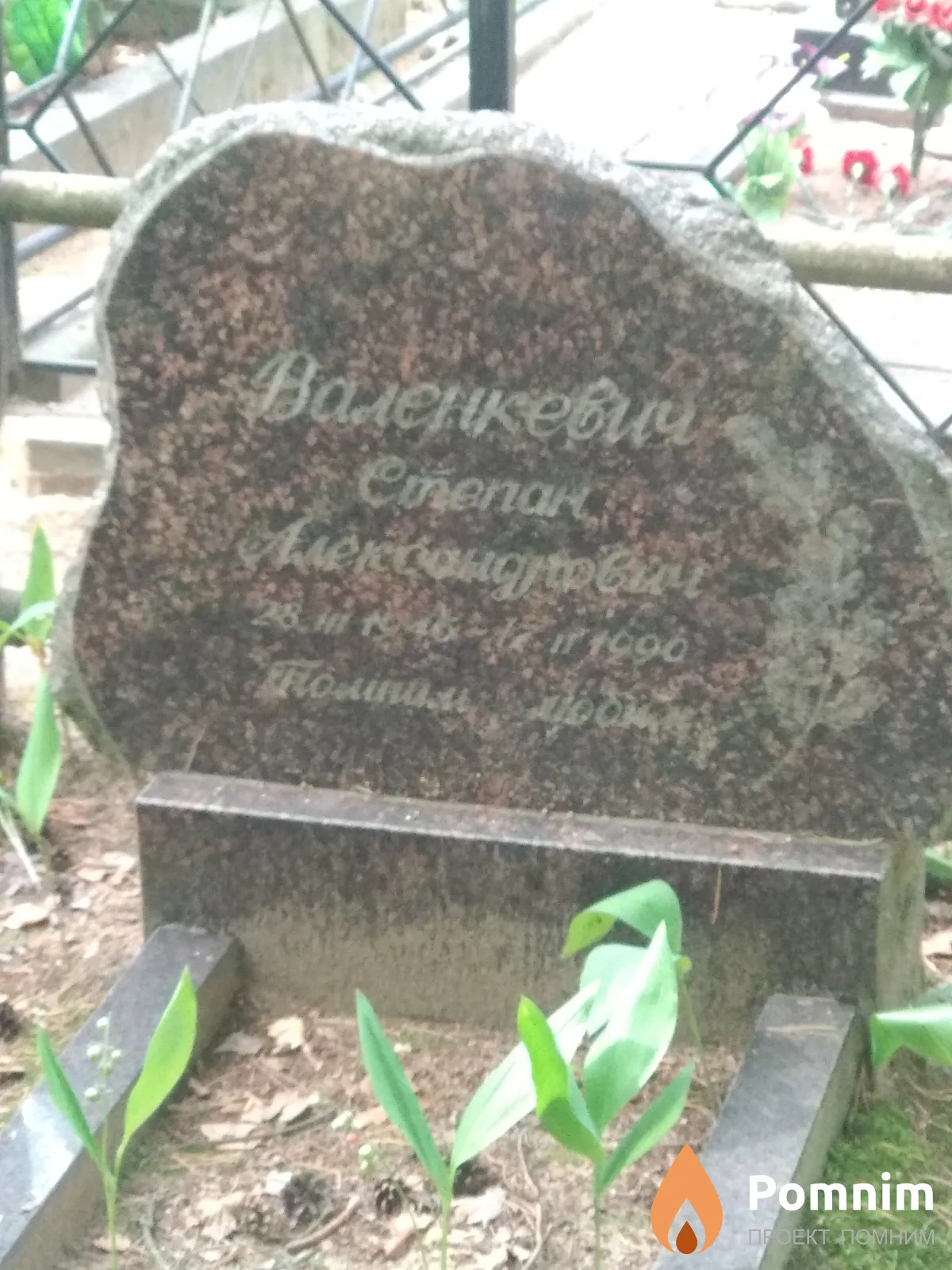 Валенкевич Степан Александрович