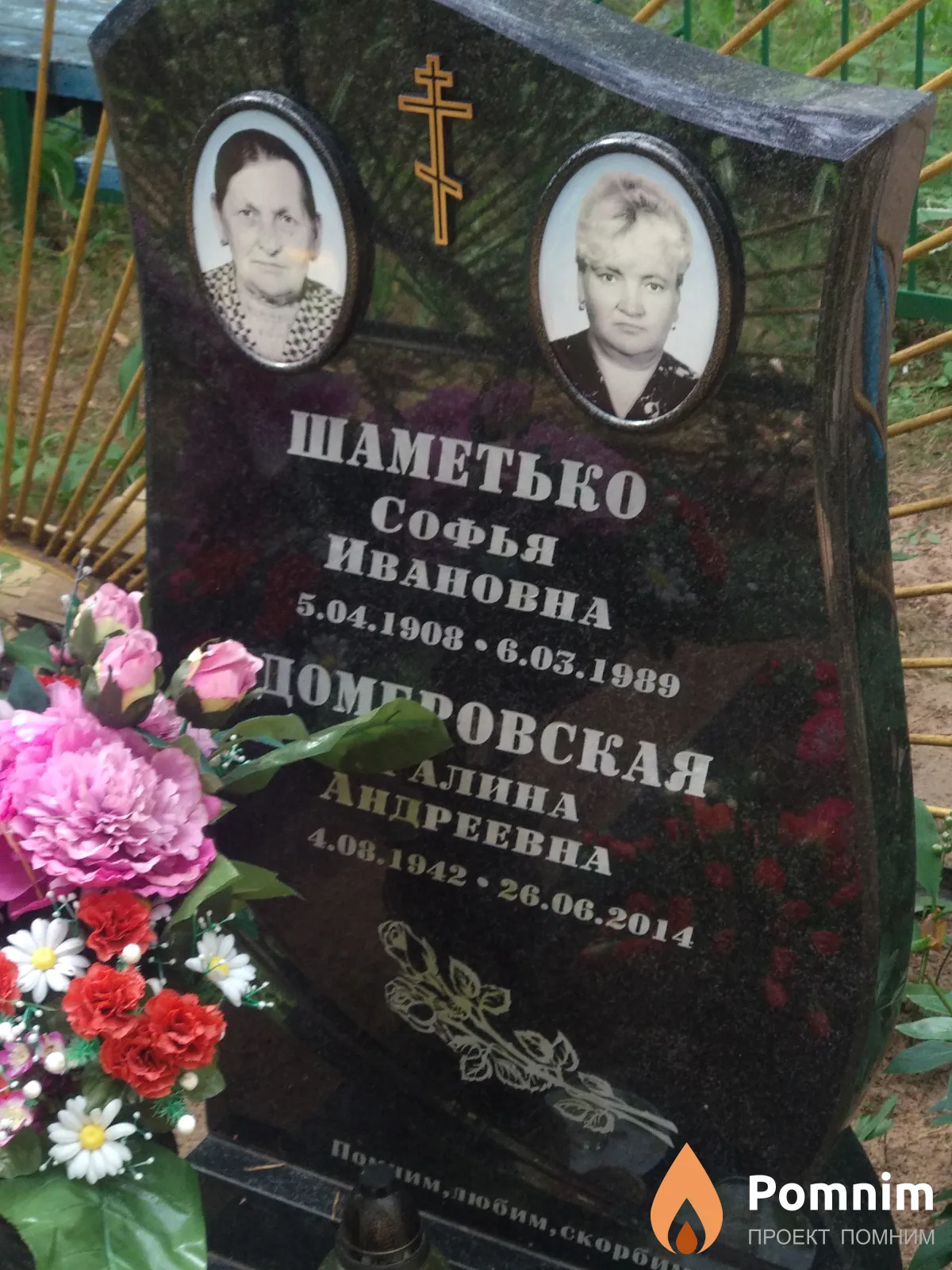 Домеровская Алина Андреевна
