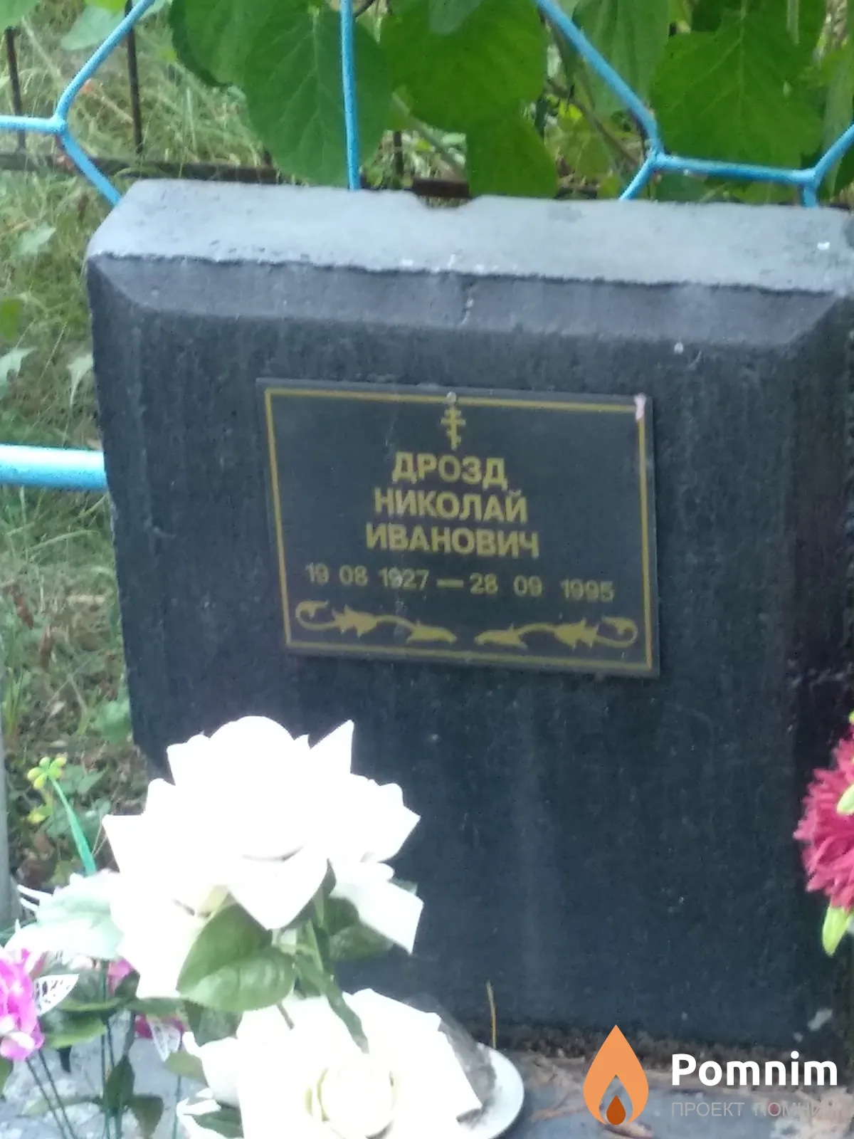 Дрозд Валентина Александровна