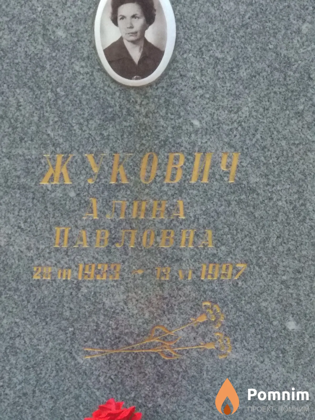Жукович Алина Павловна