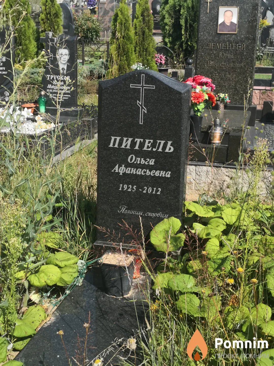 Питель Ольга Афанасьевна