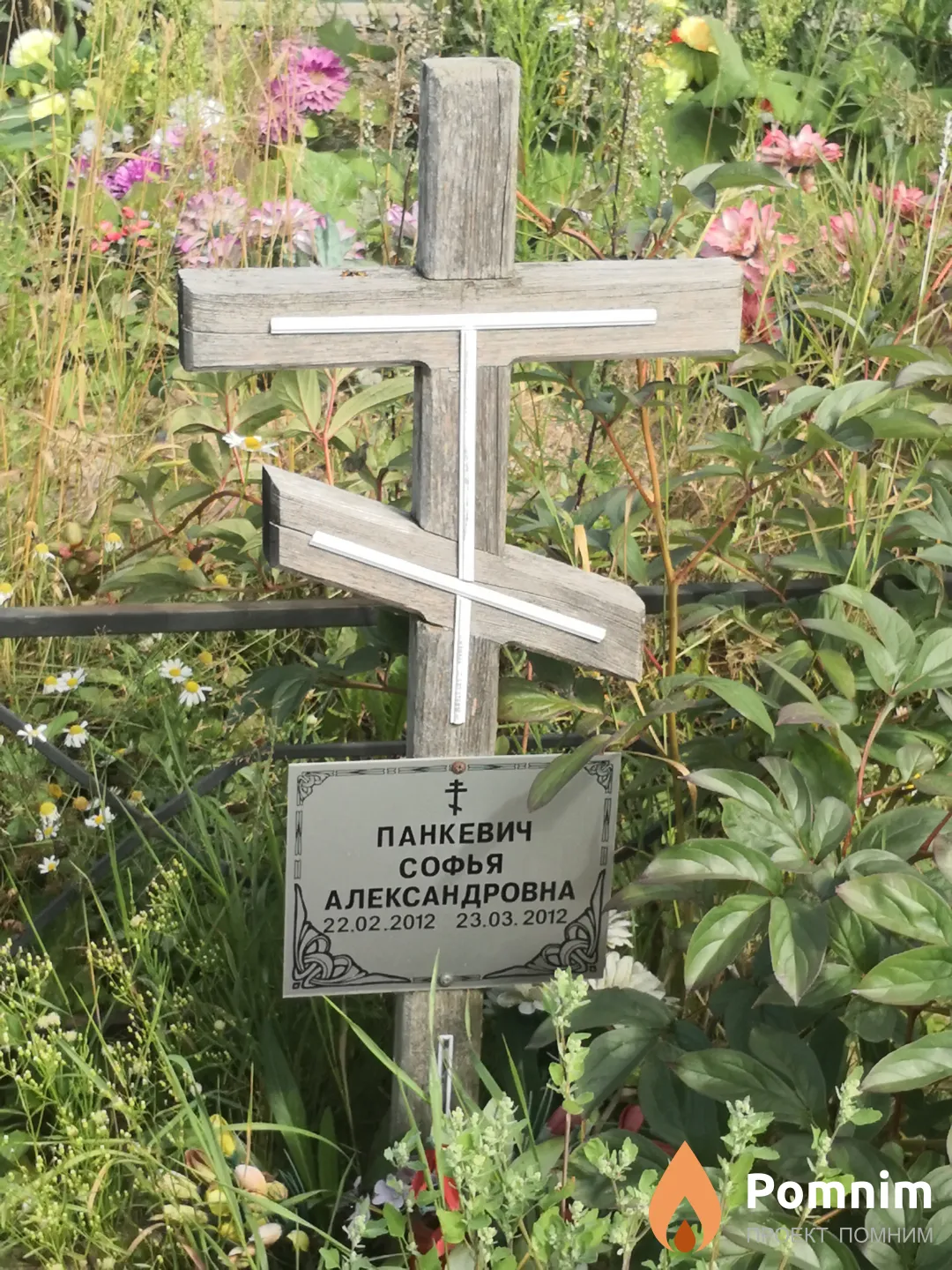 Панкевич Софья Александровна