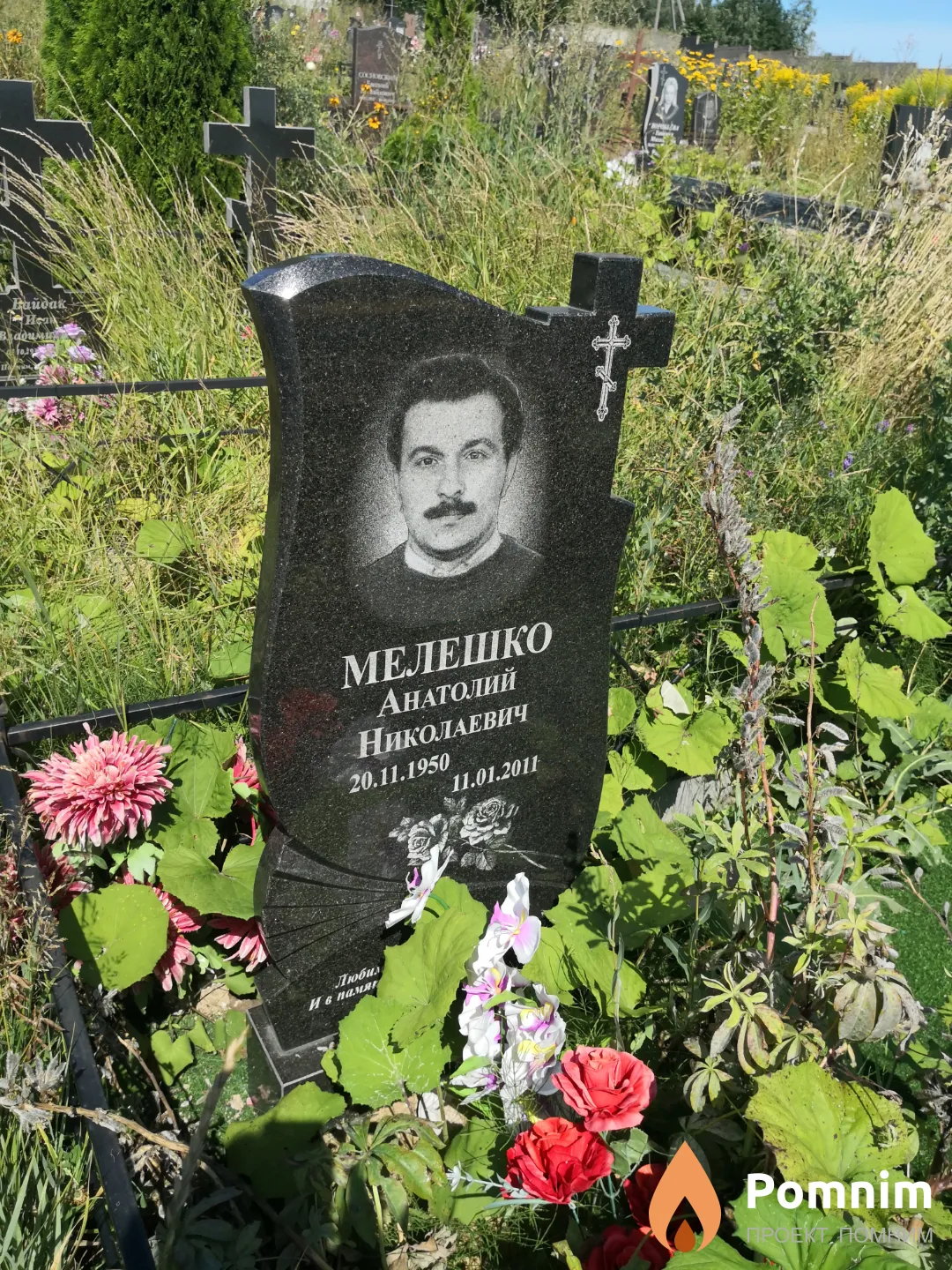 Мелешко Анатолий Николаевич