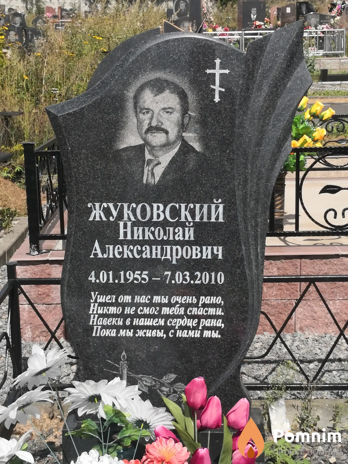 Жуковский Николай Александрович