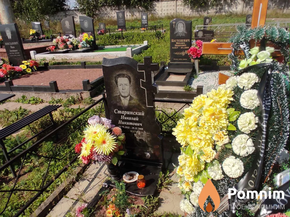 Старинский Николай Никитович
