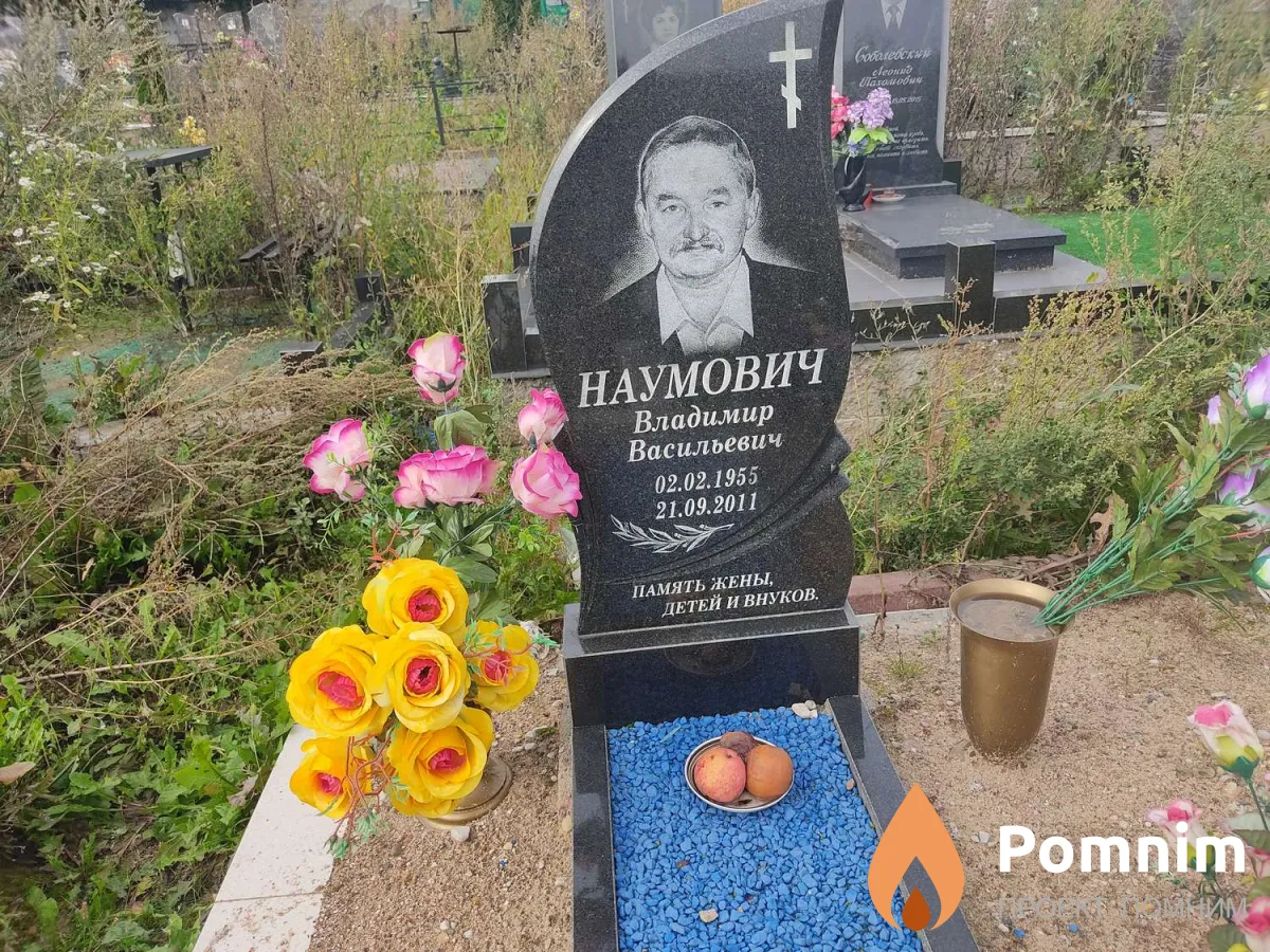Наумович Владимир Васильевич