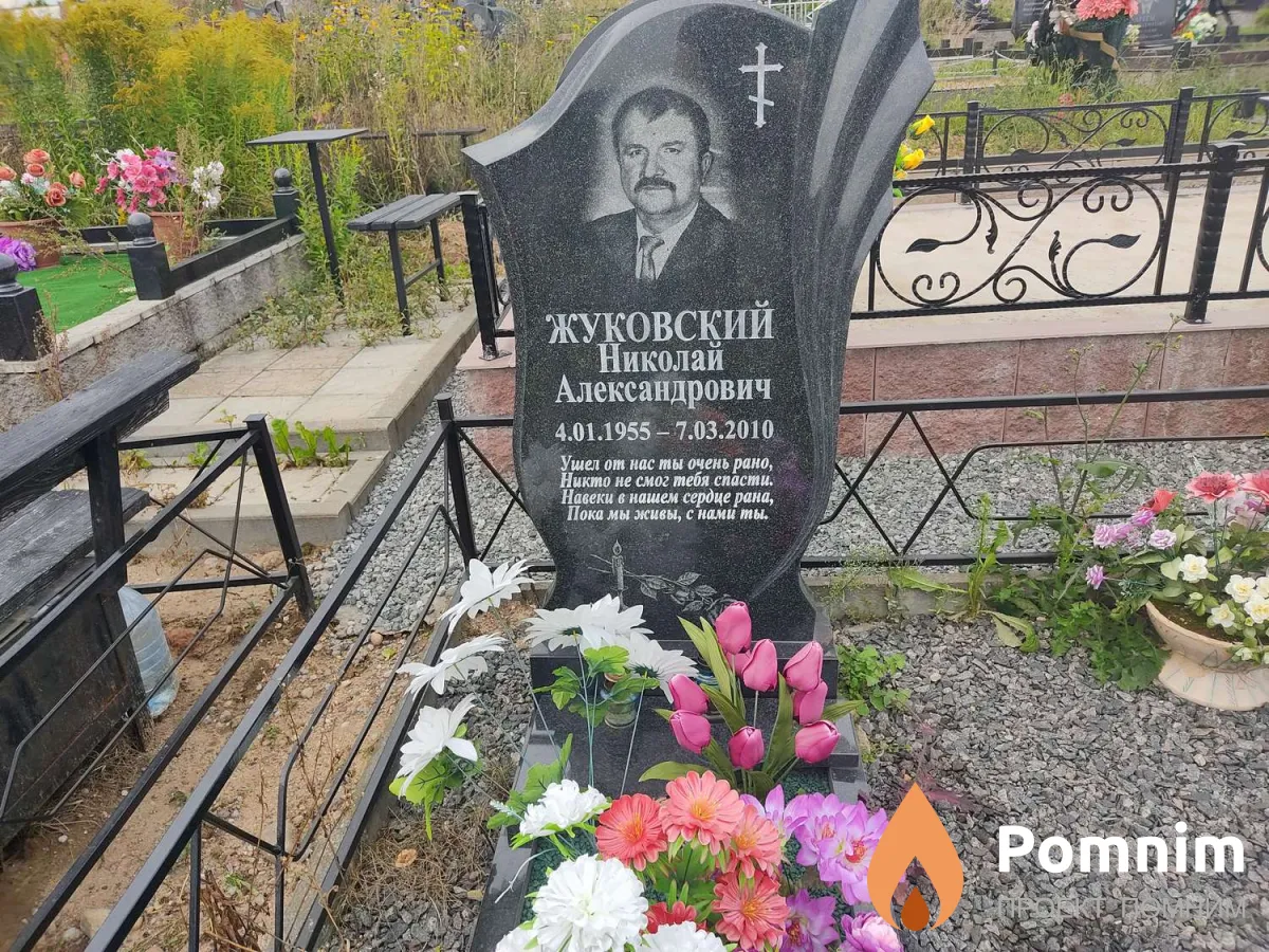 Жуковский Николай Александрович