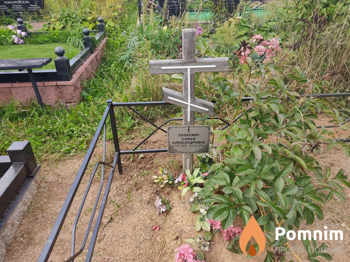 Панкевич Софья Александровна