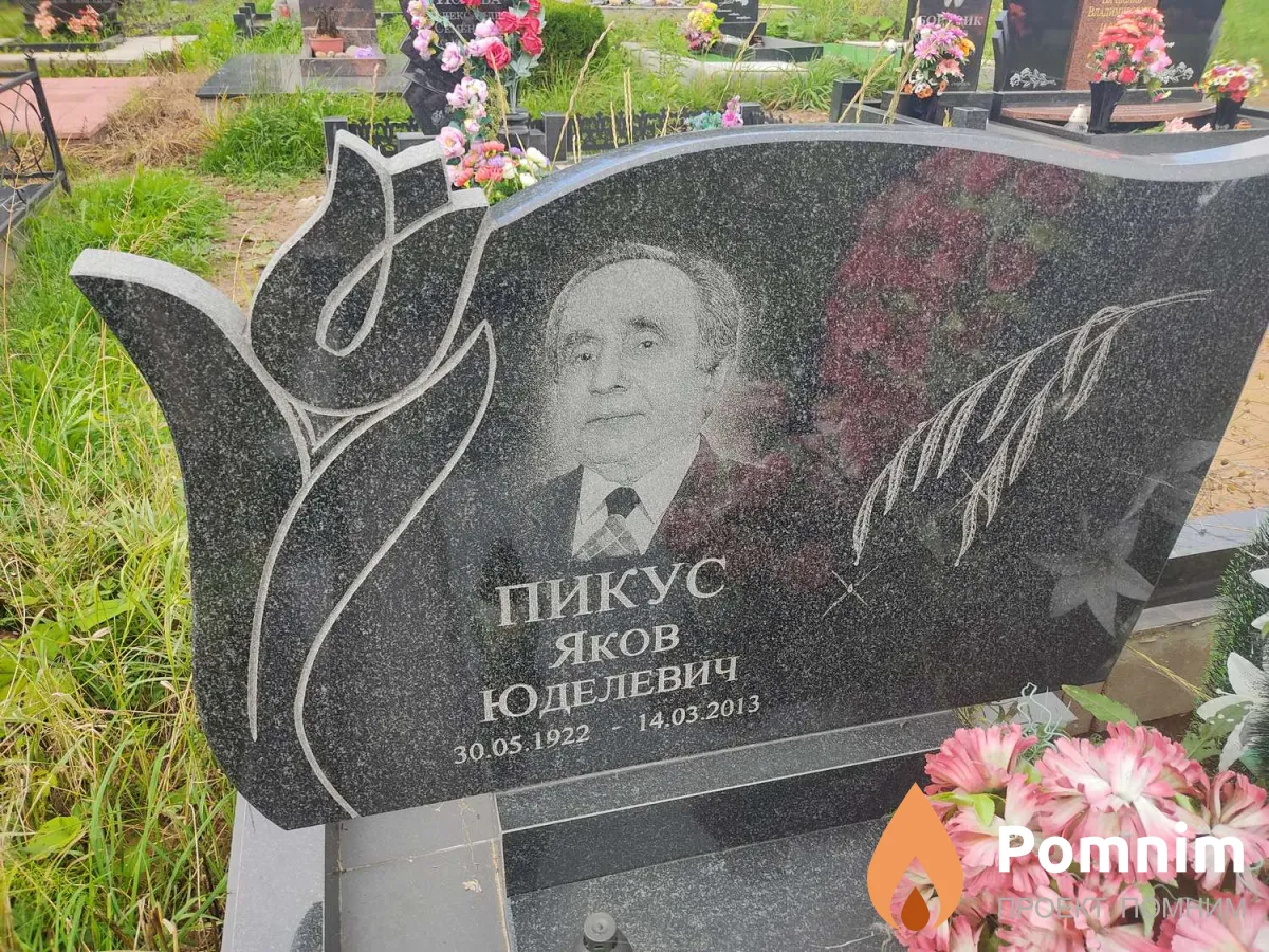 Пикус Яков Юделевич
