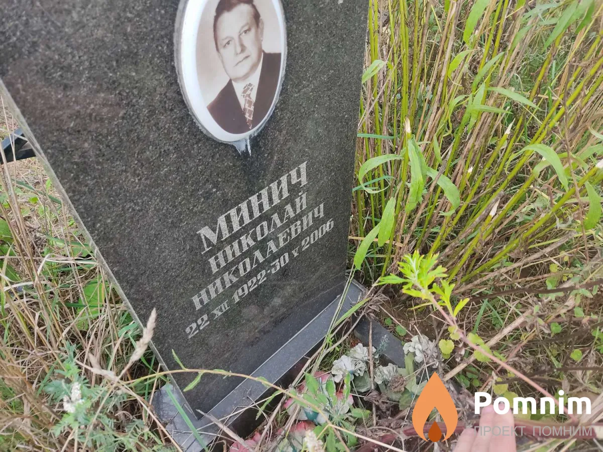 Мини Николай Николаевич
