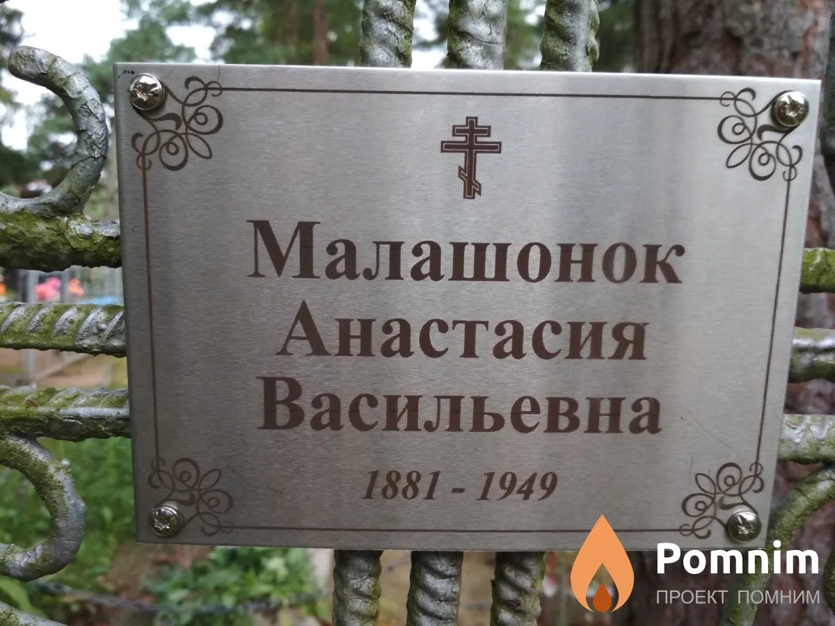 Малашонок Анастасия Васильевна