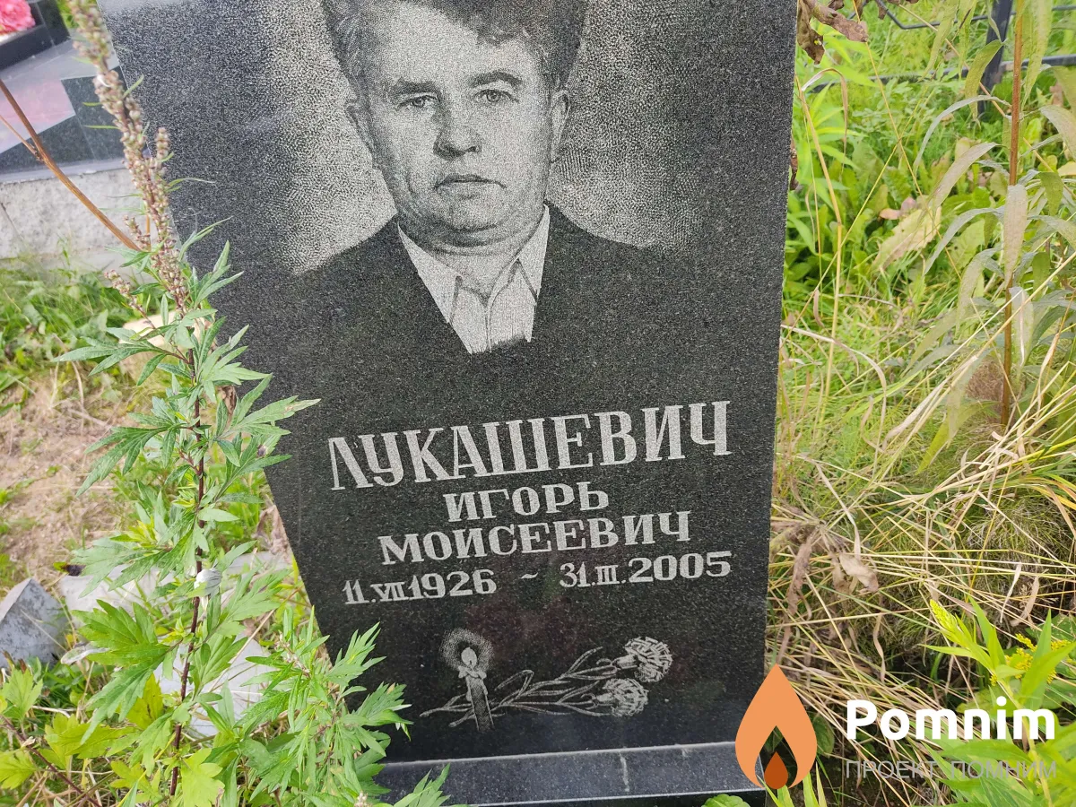 Лукашевич Игорь Моисеевич