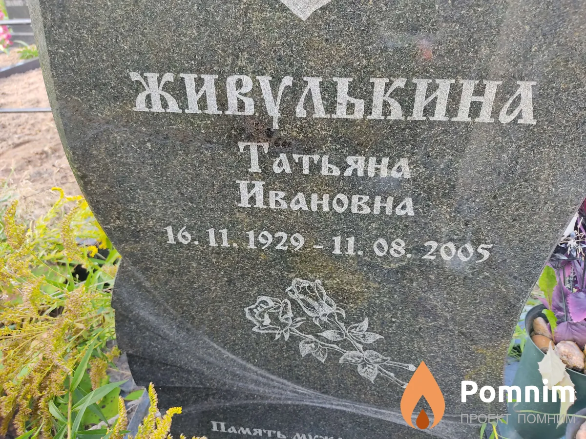Живулькин Владимир Иосифович