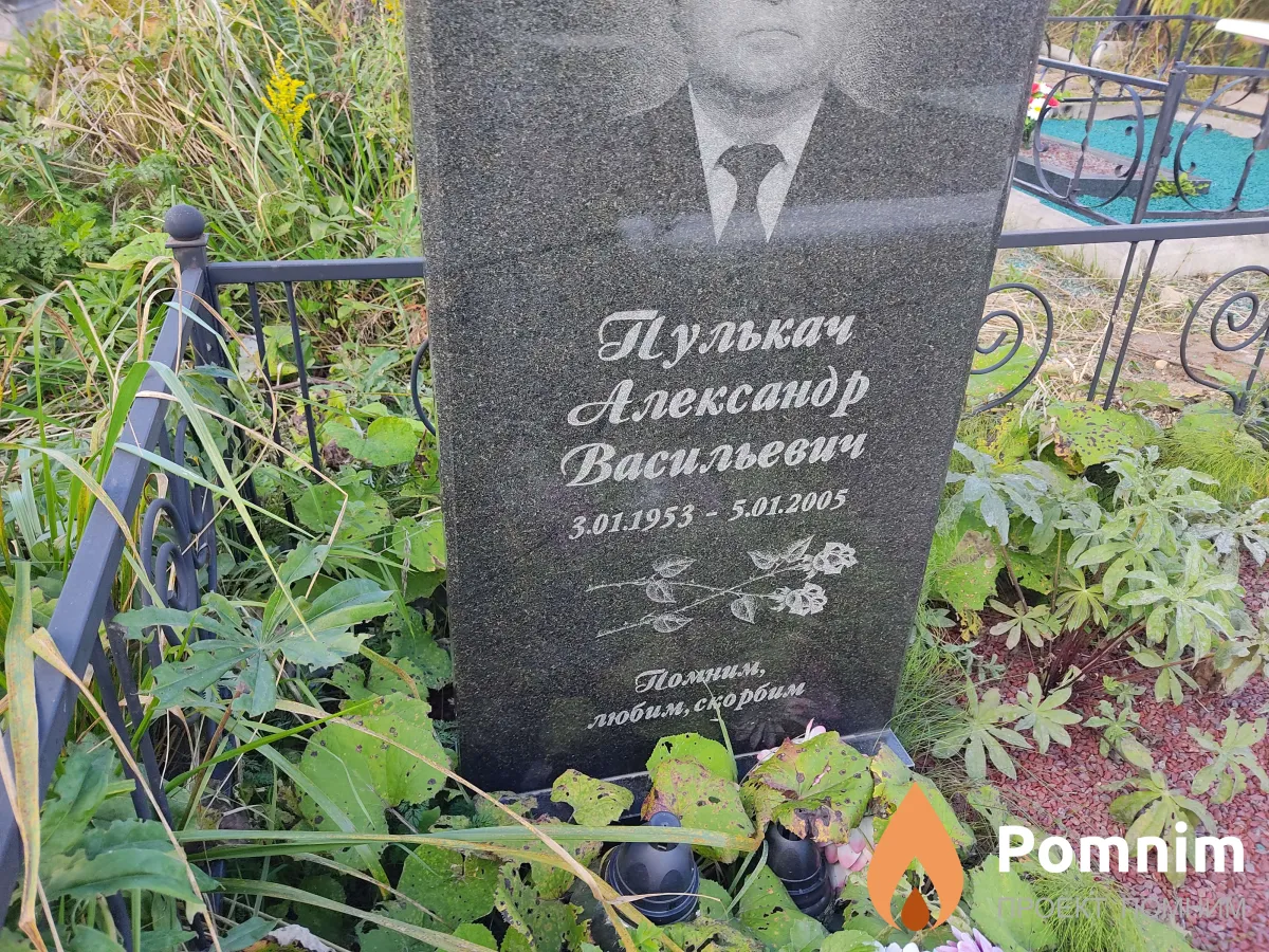 Пулькач Александр Васильевич