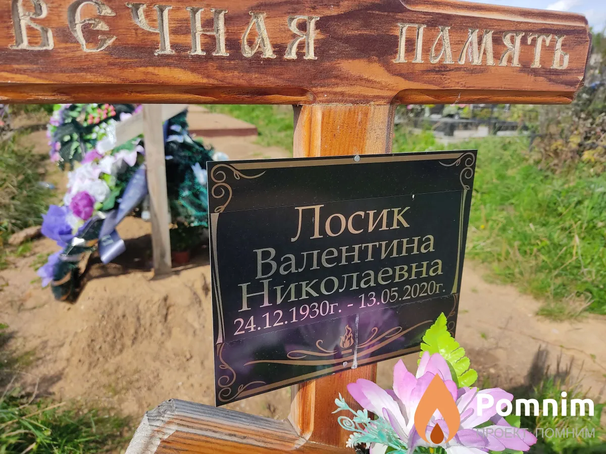 Лосик Валентина Николаевна