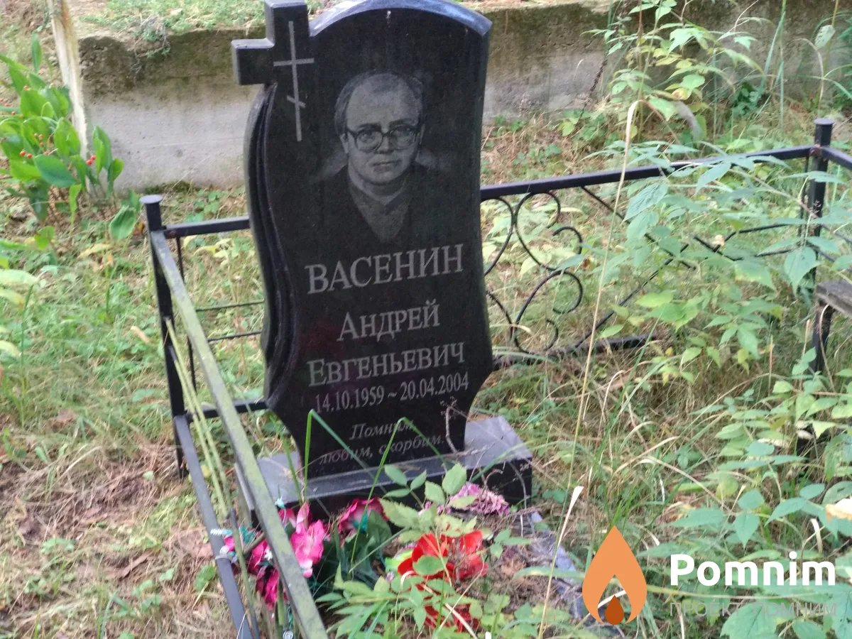 Васенин Андрей Евгеньевич