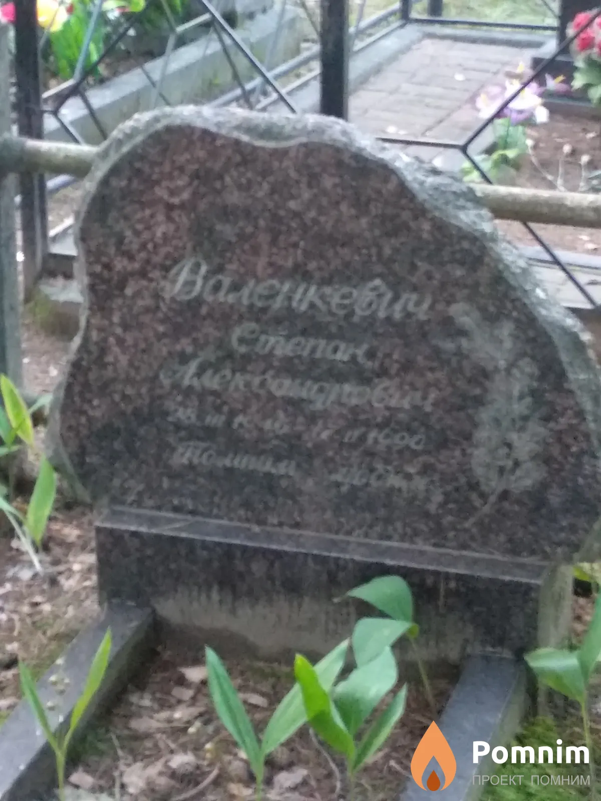 Валенкевич Степан Александрович