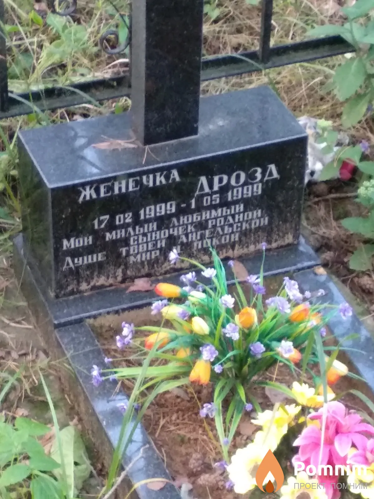Дрозд Женечка