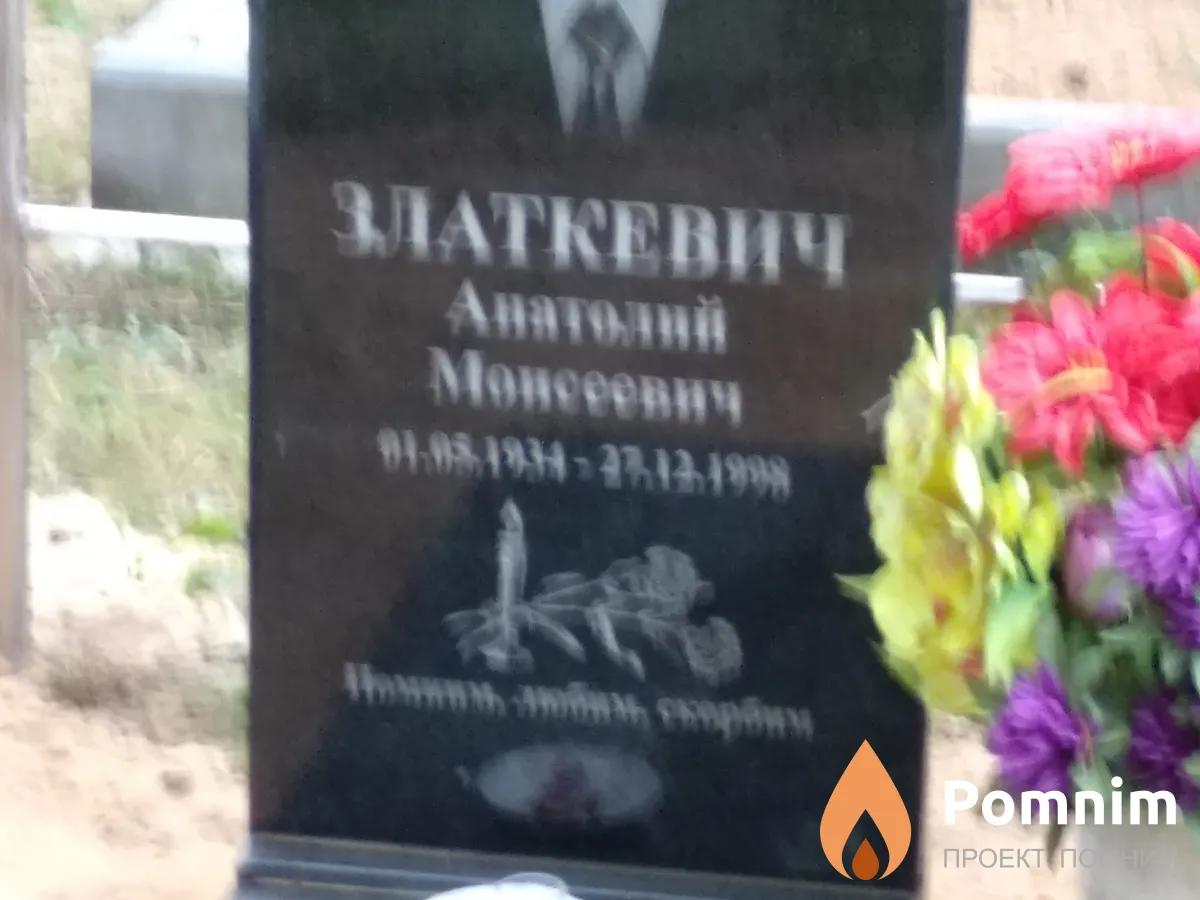 Златкевич Анатолий Моисеевич