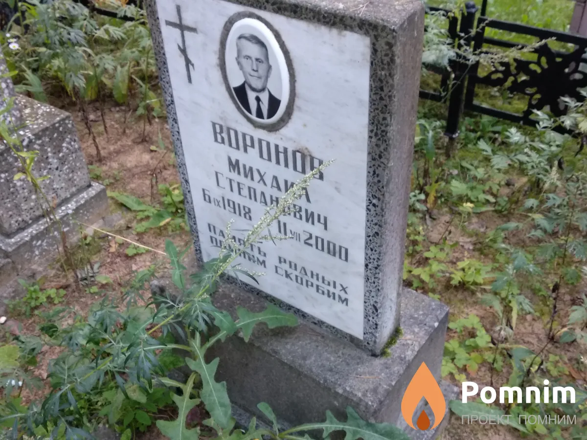 Воронова Анастасия Голоктионова