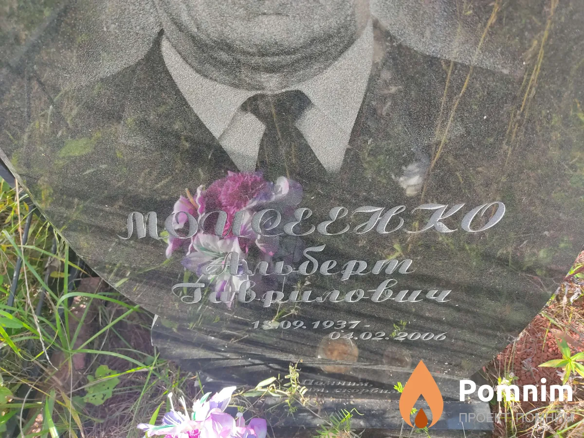 Моисеенко Альберт Гаврилович