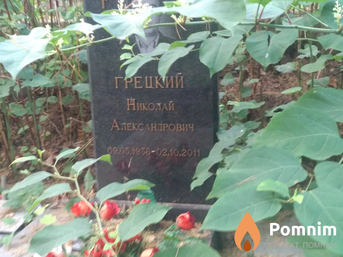 Грецкий Николай Александрович