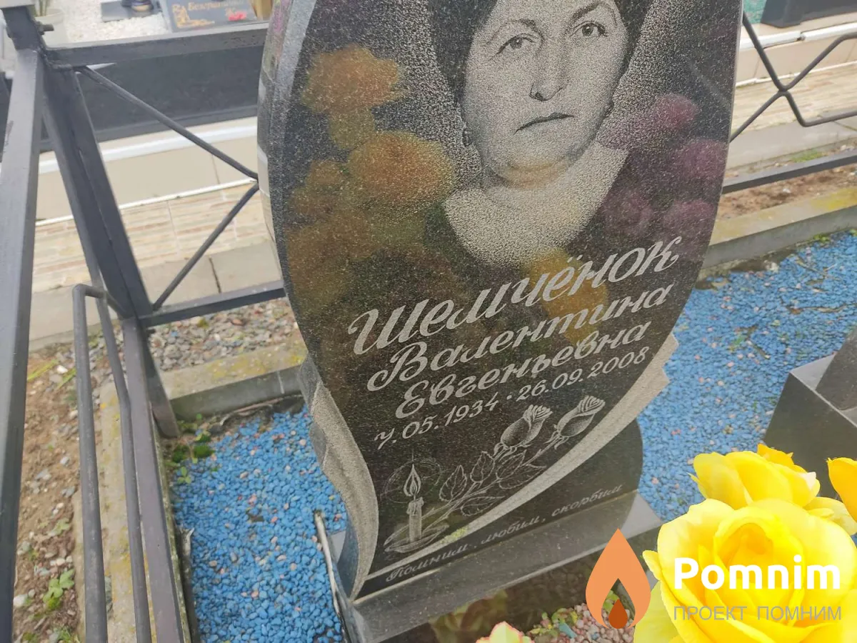 Шемчёнок Владимир Дмитриевич