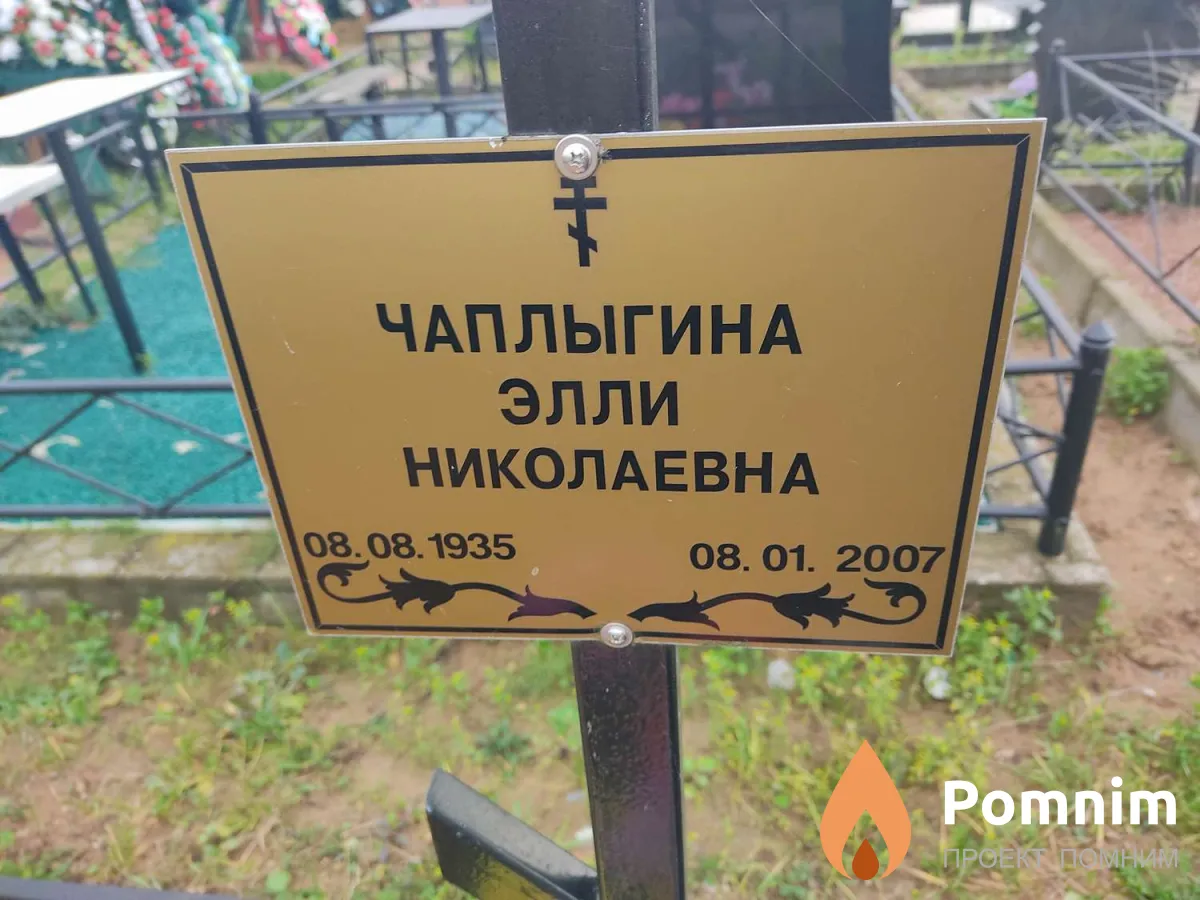 Чаплыгина Элли Николаевна