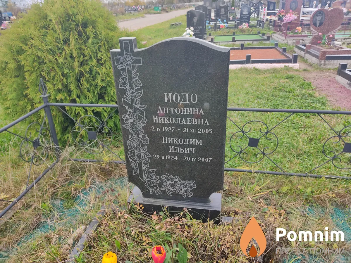 Иодо Антонина Николаевна