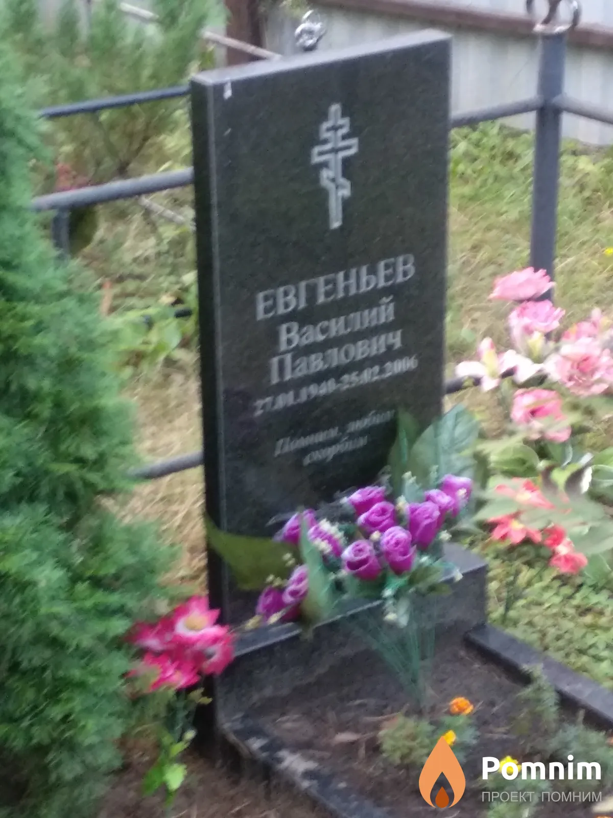Евгеньев Василий Павлович