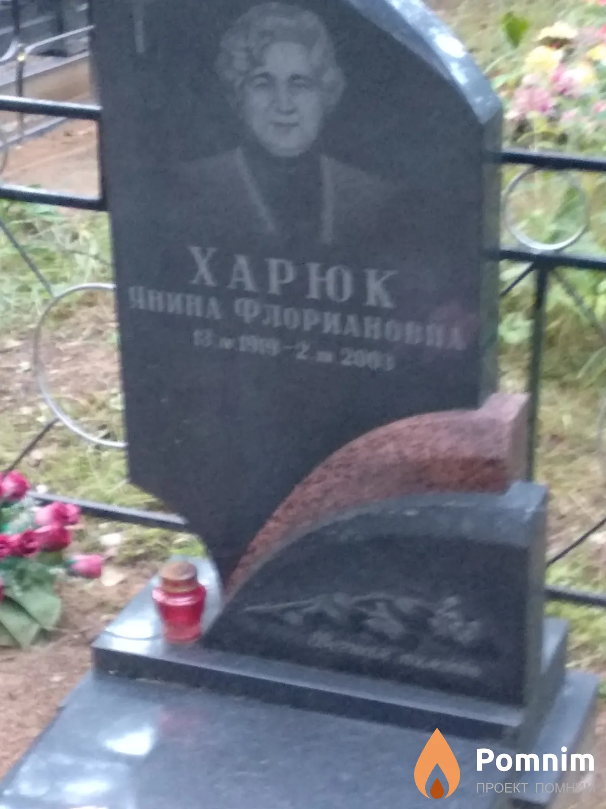 Харюк Нелли Борисовна