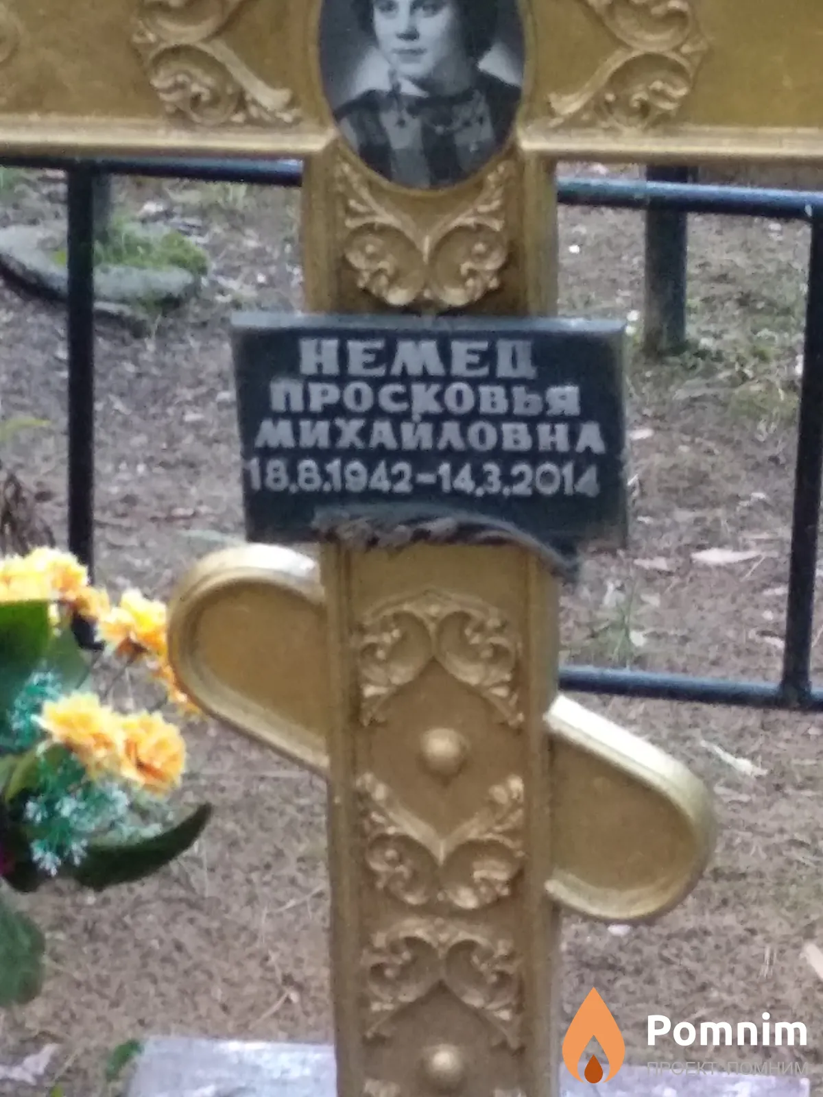 Качинская Софья Викторовна
