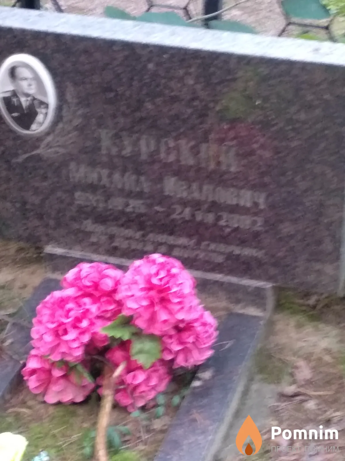Курская Татьяна Владимировна