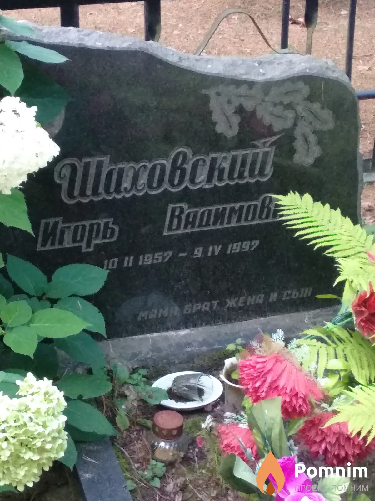 Шоовокий Игорь Вадимирович