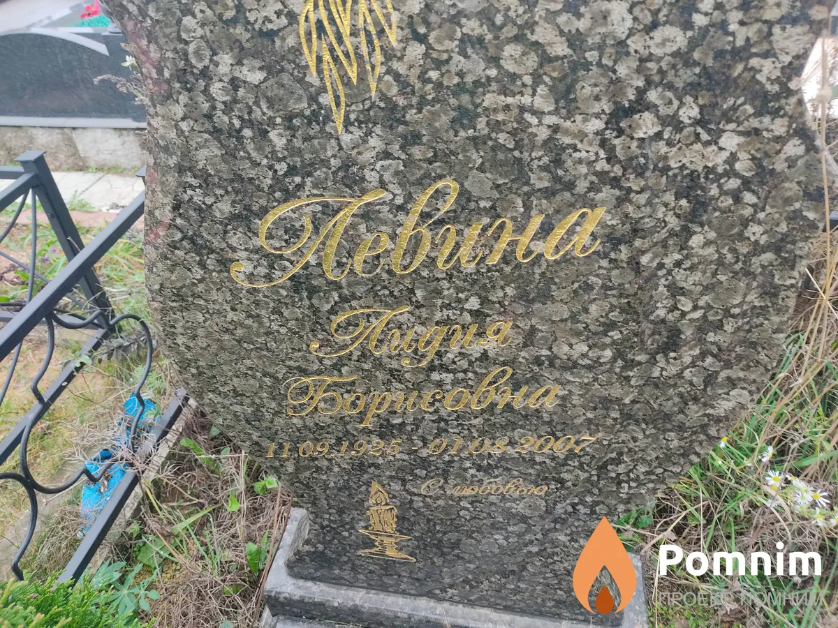 Левин Михаил Моисеевич